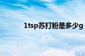 1tsp苏打粉是多少g（1tsp泡打粉是多少克）