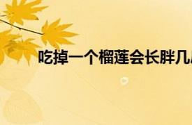 吃掉一个榴莲会长胖几斤（吃一个榴莲会胖几斤）