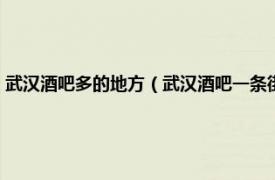 武汉酒吧多的地方（武汉酒吧一条街在什么位置好玩吗相关内容简介介绍）