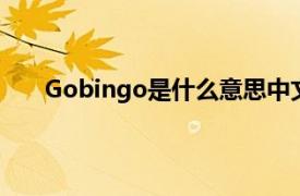 Gobingo是什么意思中文（bingo是什么意思中文）