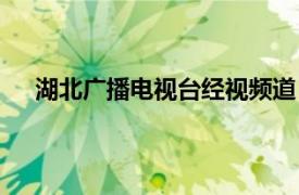 湖北广播电视台经视频道（湖北广播电视台经济广播）