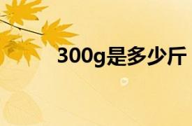 300g是多少斤（250g是多少斤）