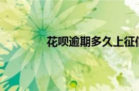 花呗逾期多久上征信?花呗逾期1天上征信