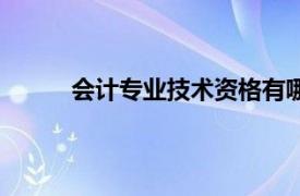 会计专业技术资格有哪些（会计专业技术资格）