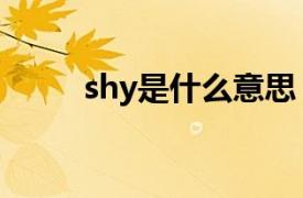 shy是什么意思（sky是什么意思）