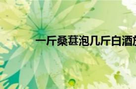 一斤桑葚泡几斤白酒放多少冰糖可以放枸杞吗