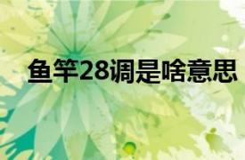 鱼竿28调是啥意思（鱼竿28调什么意思）