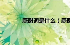 感谢词是什么（感谢词相关内容简介介绍）