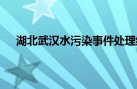 湖北武汉水污染事件处理结果（湖北武汉水污染事件）