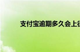 支付宝逾期多久会上征信,支付宝会强制停用吗