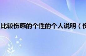 比较伤感的个性的个人说明（伤感的个人说明相关内容简介介绍）