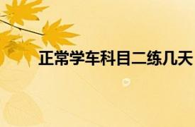 正常学车科目二练几天（科目二正常练车得几天）