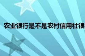 农业银行是不是农村信用社银行（农业银行是不是农村信用社）