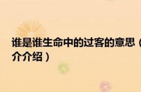 谁是谁生命中的过客的意思（生命中的过客什么意思相关内容简介介绍）