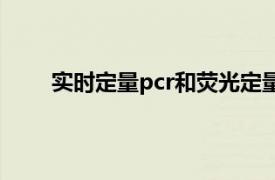 实时定量pcr和荧光定量pcr（实时定量PCR系统）