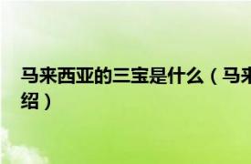 马来西亚的三宝是什么（马来西亚三宝是哪三宝相关内容简介介绍）