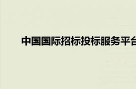 中国国际招标投标服务平台官网（中国国际采购招标网）