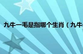 九牛一毛是指哪个生肖（九牛一毛打一生肖相关内容简介介绍）