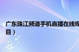 广东珠江频道手机直播在线观看（人细鬼大 珠江频道播出综艺节目）