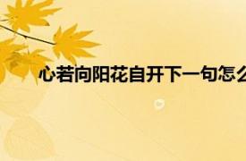 心若向阳花自开下一句怎么接（心若向阳下一句怎么接）