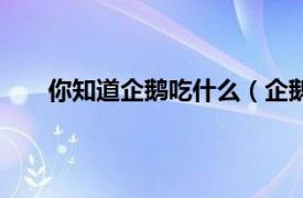 你知道企鹅吃什么（企鹅吃什么相关内容简介介绍）