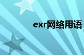 exr网络用语（ex 网络用语）