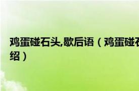 鸡蛋碰石头,歇后语（鸡蛋碰石头歇后语的下一句相关内容简介介绍）