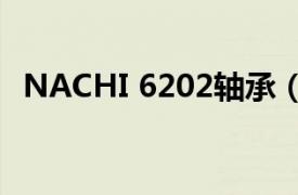 NACHI 6202轴承（NACHI N1010轴承）