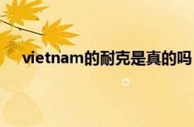 vietnam的耐克是真的吗（vietnam耐克是不是正品）