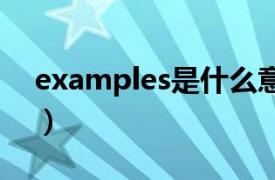 examples是什么意思（exam是什么意思？）