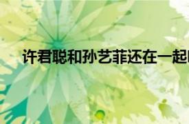 许君聪和孙艺菲还在一起吗（许君聪孙艺菲结婚了吗）