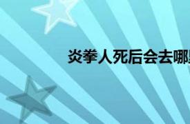 炎拳人死后会去哪里（人死后会去哪里）