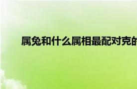 属兔和什么属相最配对克的什么（属兔和什么属相最配）