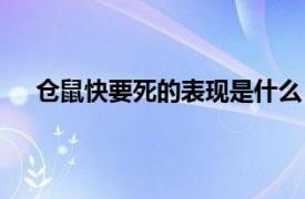 仓鼠快要死的表现是什么（仓鼠快死了有哪几种表现）