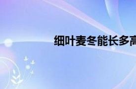 细叶麦冬能长多高（细叶麦冬有多高）