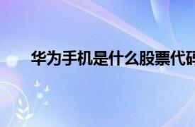 华为手机是什么股票代码（华为公司股票代码多少）