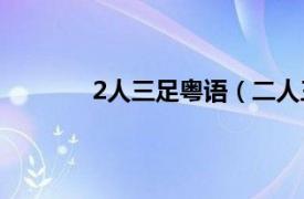 2人三足粤语（二人三足 2002年香港电影）