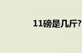 11磅是几斤?（11磅多少斤）