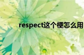 respect这个梗怎么用（respect是什么梗呢？）