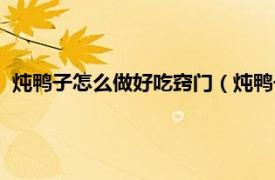 炖鸭子怎么做好吃窍门（炖鸭子怎么做好吃相关内容简介介绍）