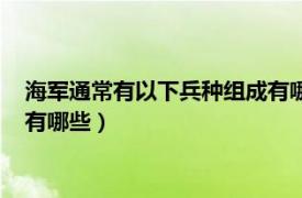 海军通常有以下兵种组成有哪些特点（海军通常有以下兵种组成有哪些）