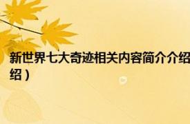 新世界七大奇迹相关内容简介介绍英文版（新世界七大奇迹相关内容简介介绍）