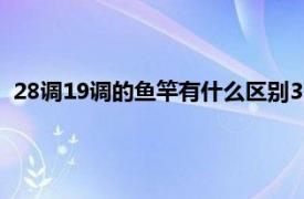 28调19调的鱼竿有什么区别37（28调19调的鱼竿有什么区别）