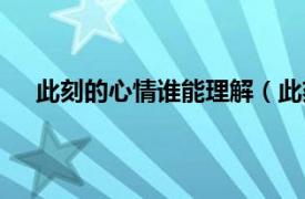 此刻的心情谁能理解（此刻的心情相关内容简介介绍）