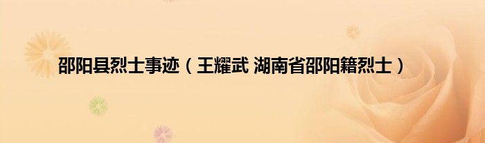 邵阳县烈士事迹王耀武湖南省邵阳籍烈士