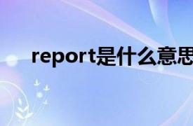 report是什么意思（repo是什么意思）