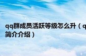 qq群成员活跃等级怎么升（qq群成员等级活跃什么等级相关内容简介介绍）