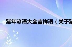 猪年谚语大全吉祥语（关于猪年的吉祥话相关内容简介介绍）