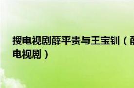 搜电视剧薛平贵与王宝钏（薛平贵与王宝钏 2012年林添一执导电视剧）