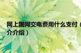 网上国网交电费用什么支付（怎么用网上国网交电费相关内容简介介绍）